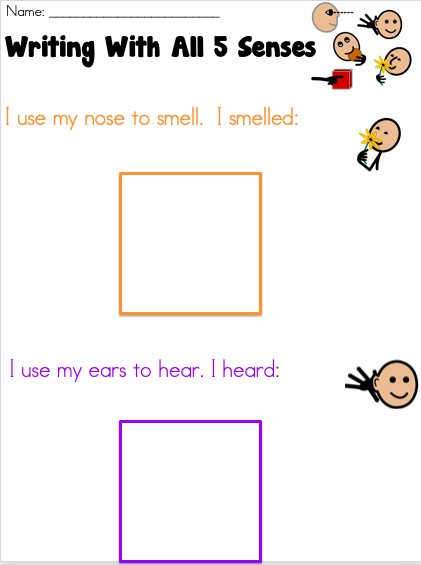 sensory-adjective-exploration-activity-user-s-blog